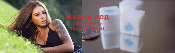 мяу мяу мука Белокуриха