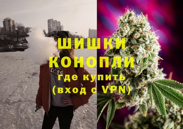 мяу мяу мука Белокуриха