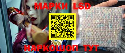 амф Гатчина