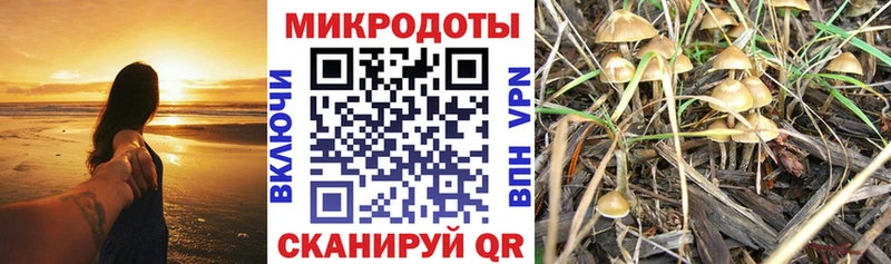 Псилоцибиновые грибы GOLDEN TEACHER  OMG ТОР  Гай 