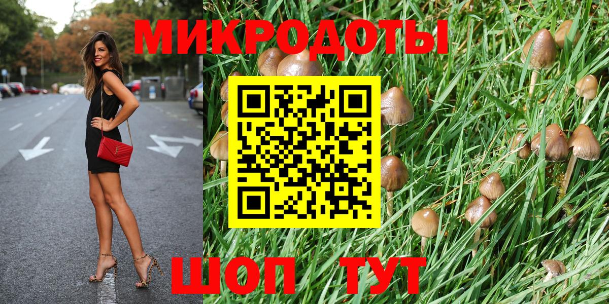 Галлюциногенные грибы Magic Shrooms  Псилоцибиновые грибы MAGIC MUSHROOMS  купить наркотики сайты  Гай 